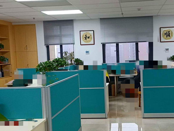 新装修的办公室墙面返潮怎么办,有哪些危害?